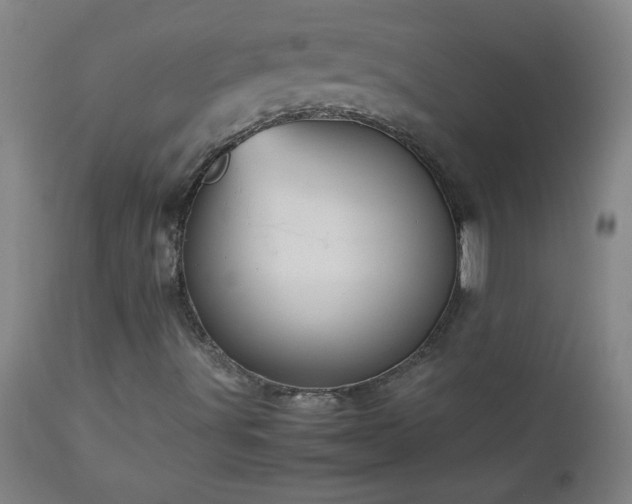 X0000113041491200908271452
