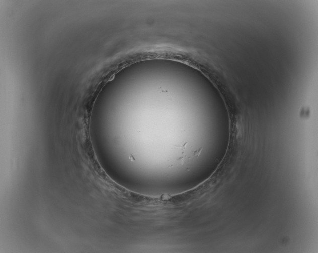 X0000113041493200908271452