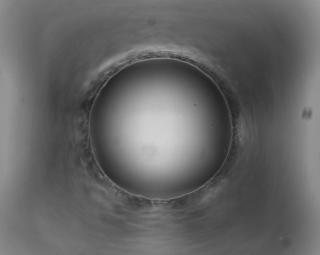 X0000113041494200908271452