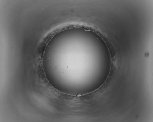 X0000113041495200908271452
