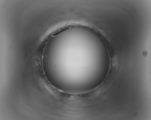 X0000113041496200908271452