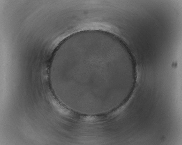 X0000113041497200908271452