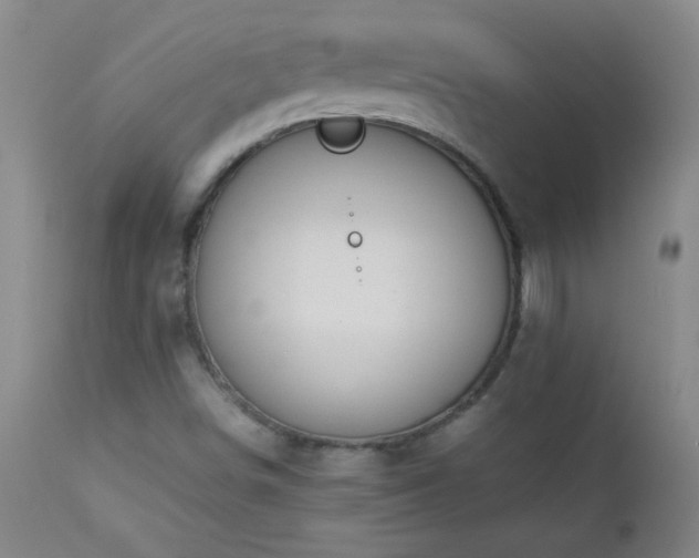 X0000113041498200908271452