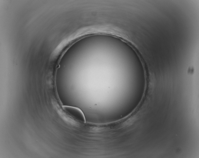 X0000113041499200908271452