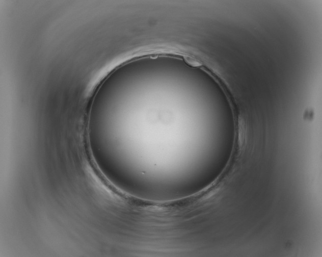 X0000113041500200908271452