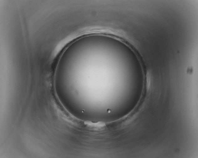 X0000113041501200908271452