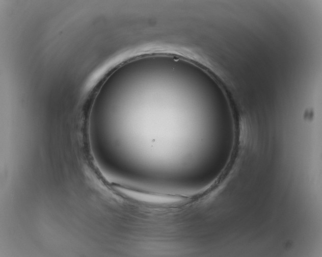 X0000113041502200908271452