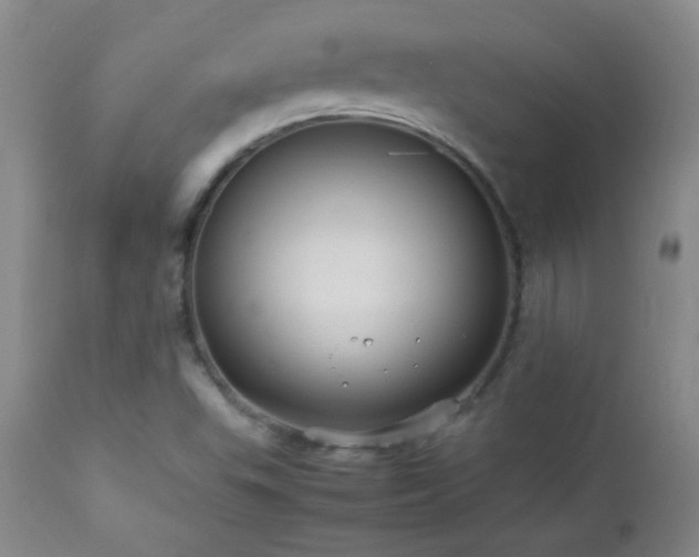X0000113041503200908271452