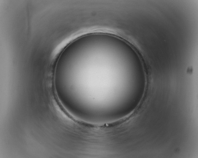 X0000113041504200908271452