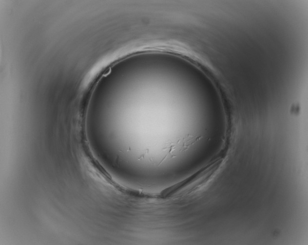 X0000113041506200908271452