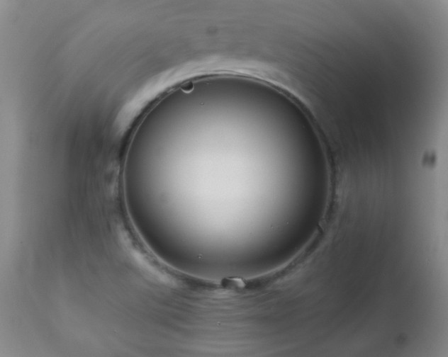 X0000113041507200908271452