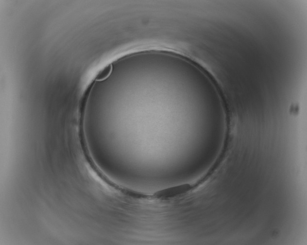 X0000113041508200908271452