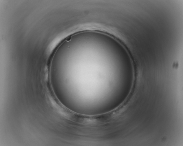 X0000113041509200908271452