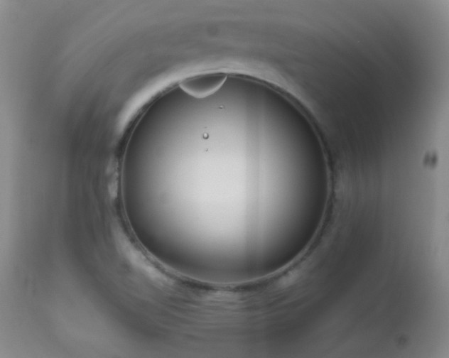 X0000113041510200908271452