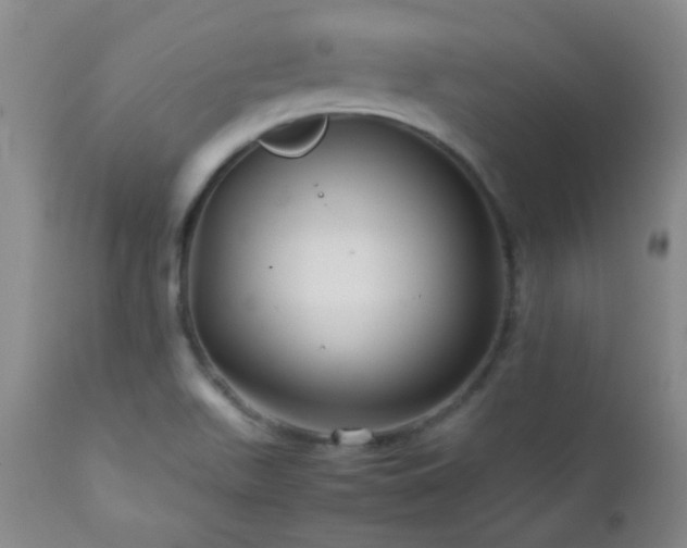X0000113041511200908271452