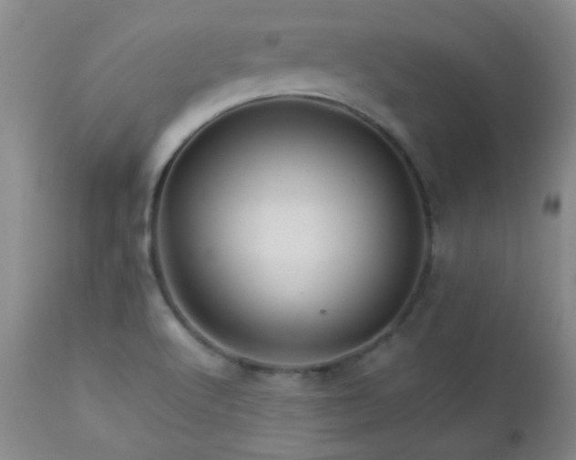 X0000113041512200908271452