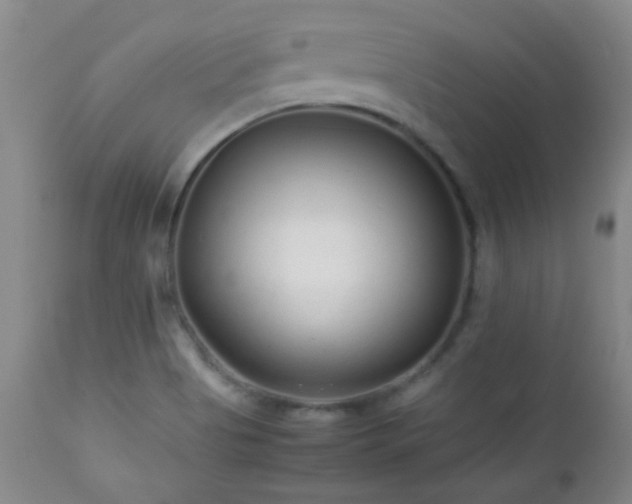 X0000113041513200908271452