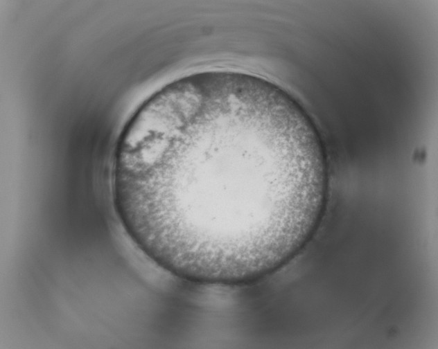 X0000113041514200908271452