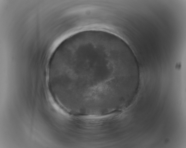 X0000113041515200908271452