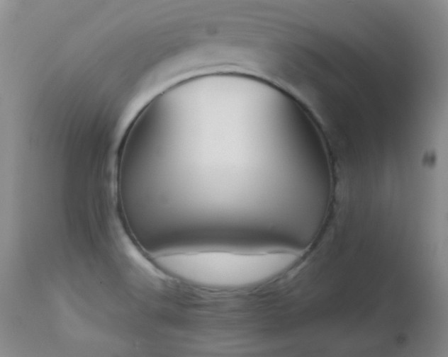X0000113041516200908271452