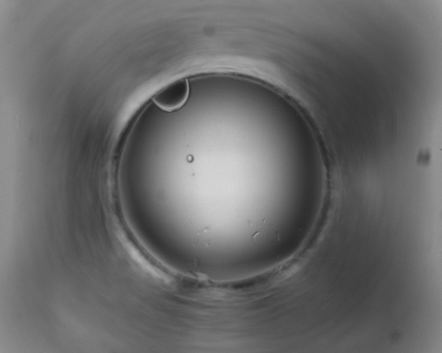 X0000113041517200908271452