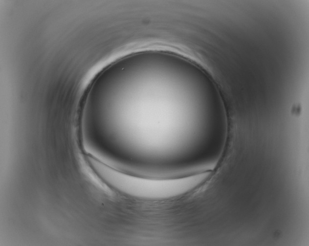 X0000113041518200908271452