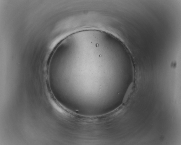 X0000113041519200908271452