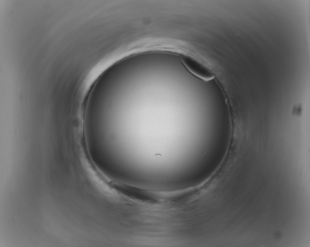 X0000113041520200908271453