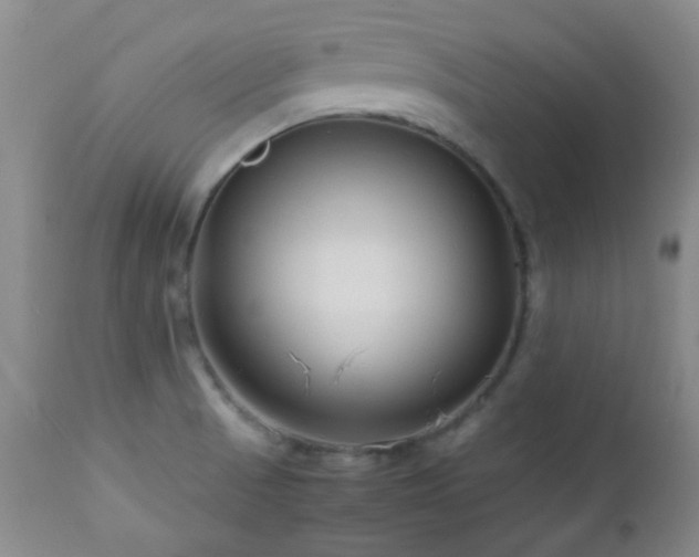 X0000113041521200908271453