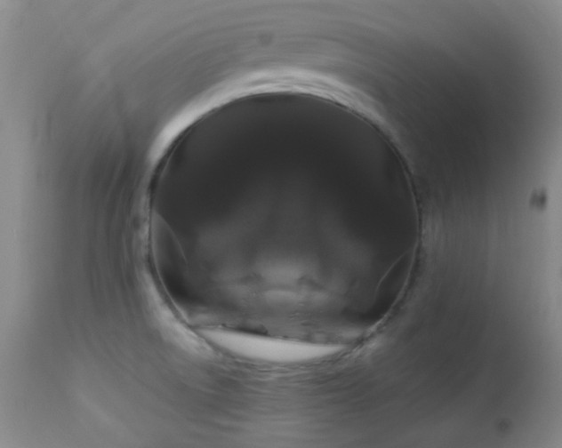 X0000113041522200908271453