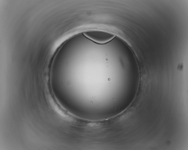 X0000113041523200908271453