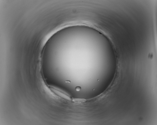 X0000113041524200908271453