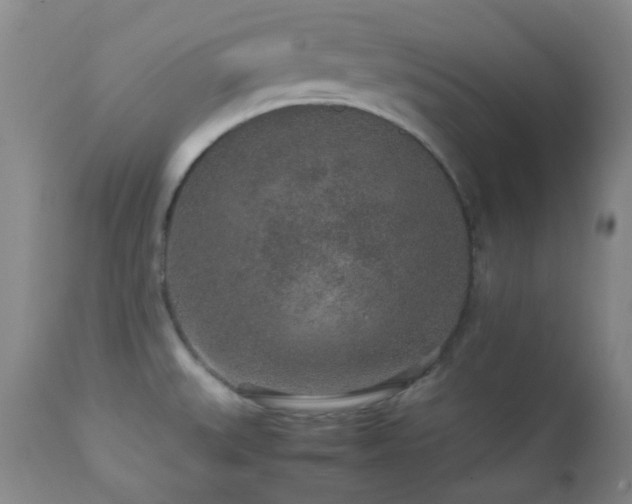 X0000113041527200908271453