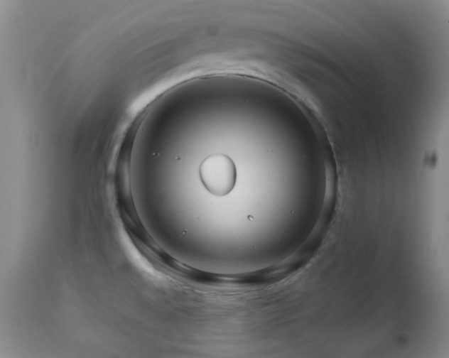 X0000113041528200908271453