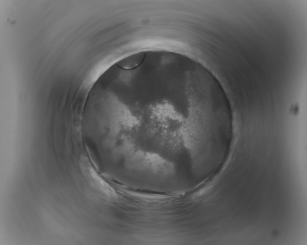 X0000113041529200908271453