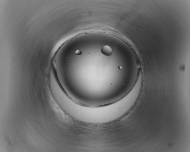 X0000113041530200908271453
