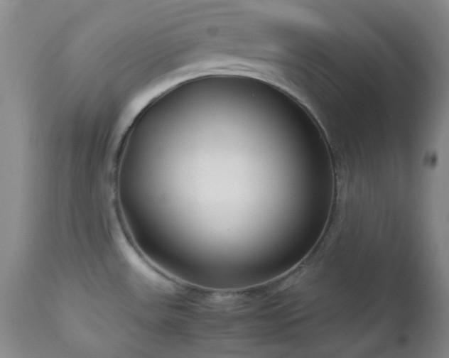 X0000113041531200908271453