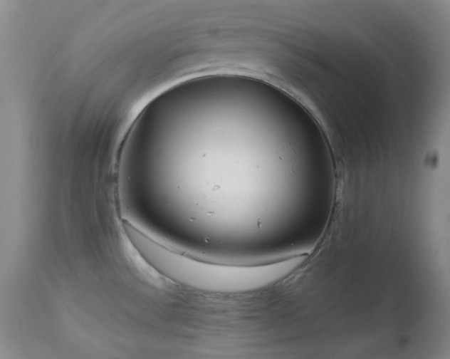 X0000113041532200908271453