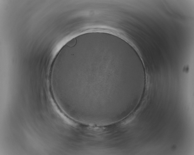 X0000113041533200908271453