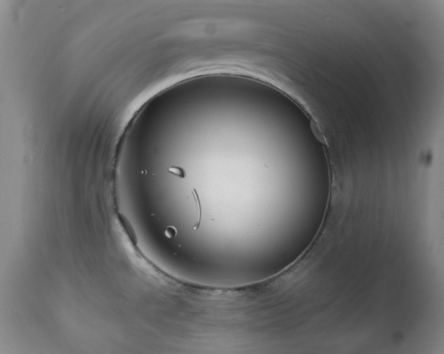 X0000113041534200908271453