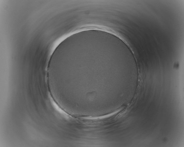 X0000113041535200908271453