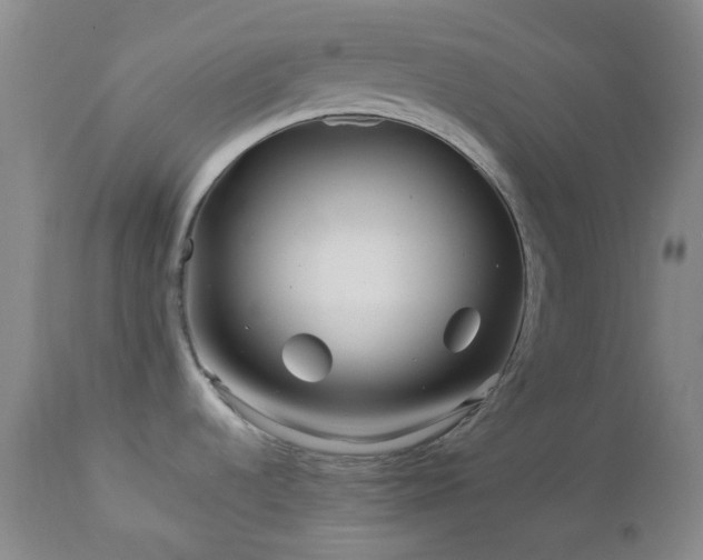 X0000113041536200908271453