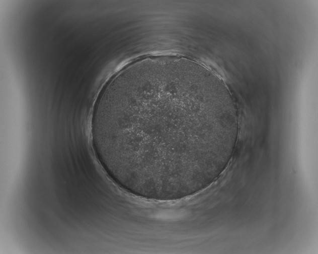 X0000113040002200909031321