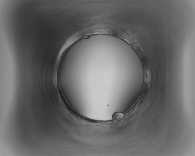 X0000113040004200909031321