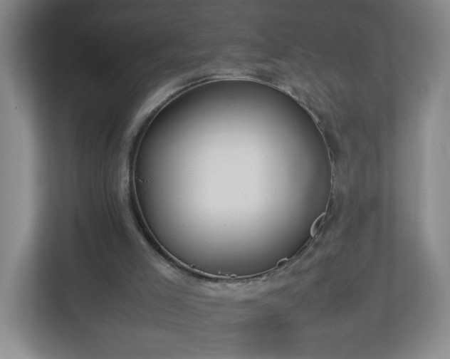 X0000113040005200909031321