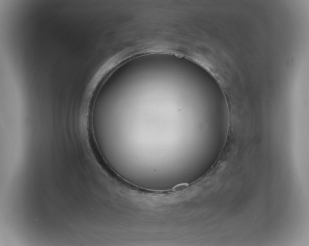 X0000113040007200909031321