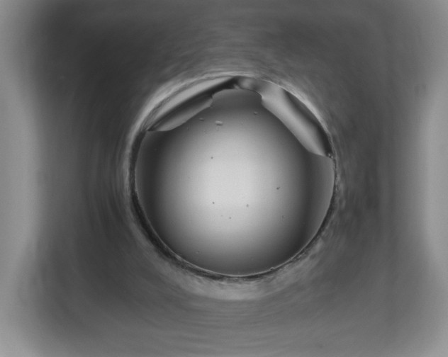 X0000113040008200909031321