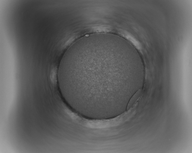 X0000113040009200909031321