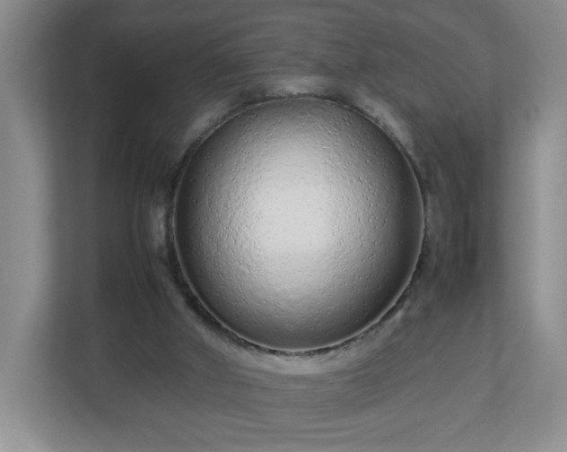 X0000113040010200909031321