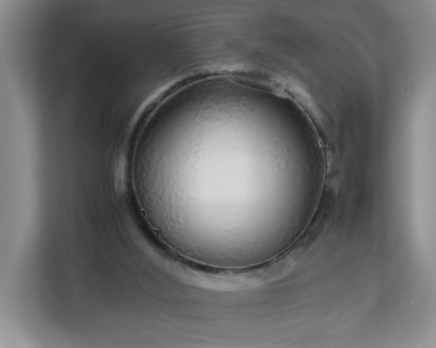 X0000113040012200909031321